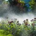5 sposobów na oszczędne nawadnianie ogrodu