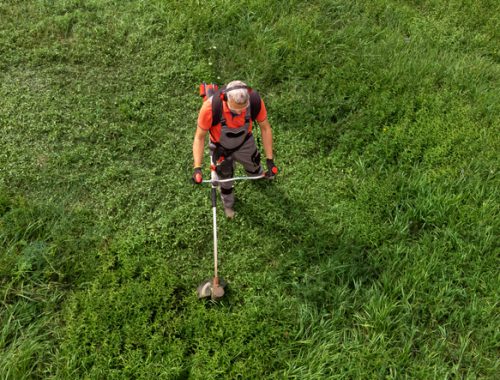 jak kosić podkaszarką, mężczyzna koszący trawę podkaszarka widziany z lotu ptaka