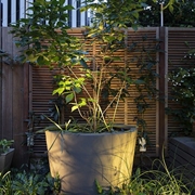 REFLEKTOR MINI SCOPE 12V IN-LITE