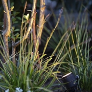 REFLEKTOR MINI SCOPE 12V IN-LITE