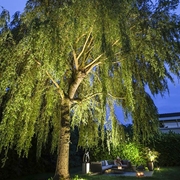 LAMPA DO WBUDOWANIA BIG NERO NARROW 12V IN-LITE