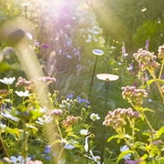 LAMPA DO OGRODU SWAY PEARL GREY 12V  IN-LITE