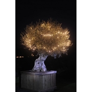 LINEA All Seasons Heavy duty łańcuch 100 LED 12V biały c. IP