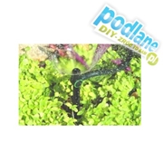 Mikrozraszacz statyczny Aquila Jet PC 360°