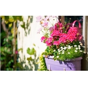 Automatyczna konewka GARDENA (01407-20)