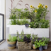 Zestaw nawadniający aquabloom GARDENA (13300)