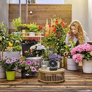 Zestaw nawadniający aquabloom GARDENA (13300)