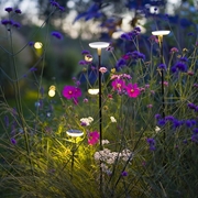 LAMPA DO OGRODU SWAY PEARL GREY 12V  IN-LITE