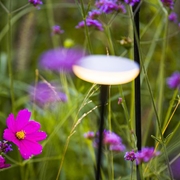 LAMPA DO OGRODU SWAY PEARL GREY LOW 12V  IN-LITE