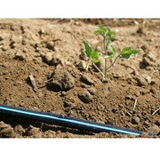 Płaska linia kroplująca Neptun 16/30/1,3 TORO