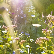 LAMPA DO OGRODU SWAY PEARL GREY LOW 12V  IN-LITE