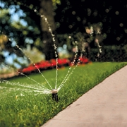 Dysza rotacyjna 24 RVAN 360° Rain Bird