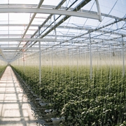 Zamgławiacz FLF podwieszany z obciążnikiem 4 x 5 l/h RIVULIS