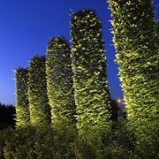 REFLEKTOR BIG SCOPE NARROW 12V IN-LITE