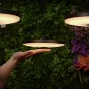 LAMPA SUFITOWA DISC PENDANT 100-230  IN-LITEV TRIPLE